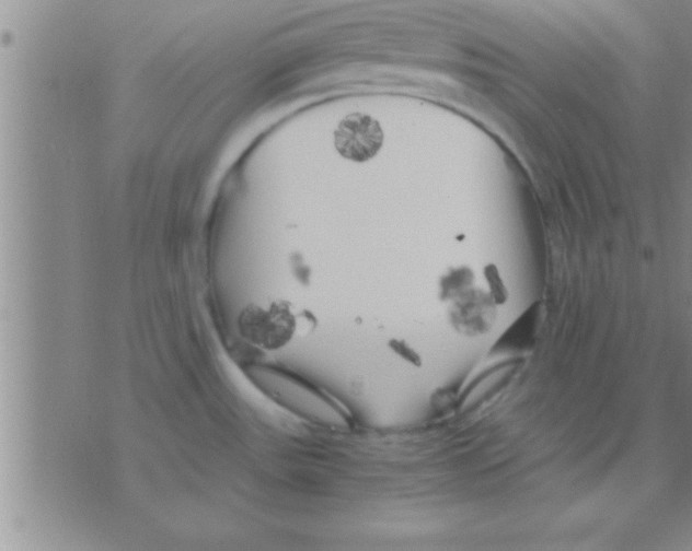 X0000075921531200610151854