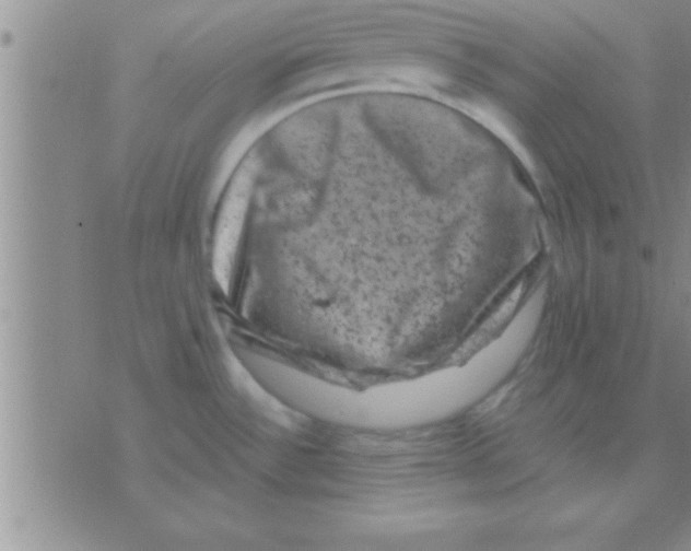 X0000075921532200610151854