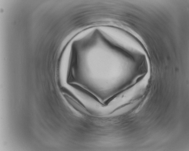 X0000075921533200610151854