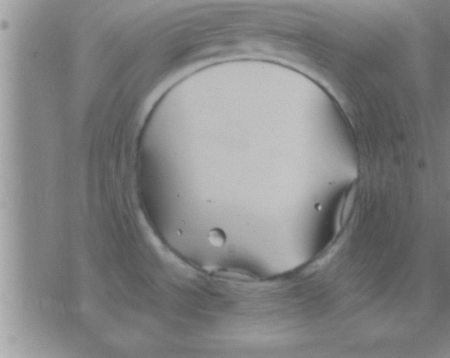 X0000075921534200610151854