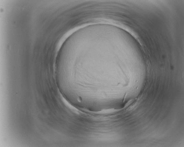 X0000075921535200610151854