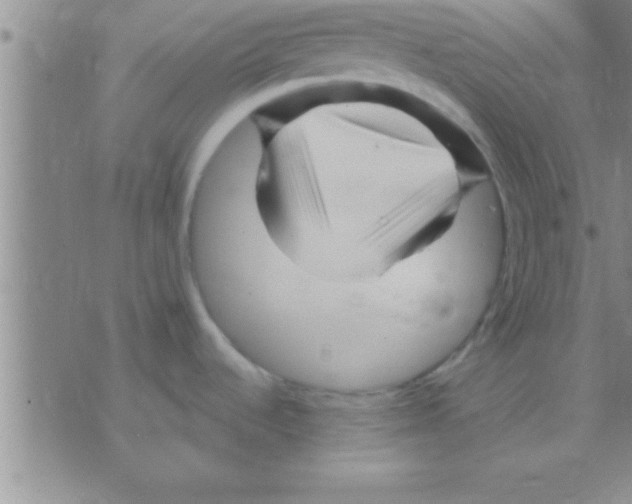 X0000075921536200610151854