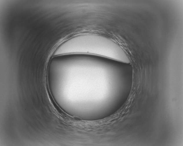 X0000076030003200609220905