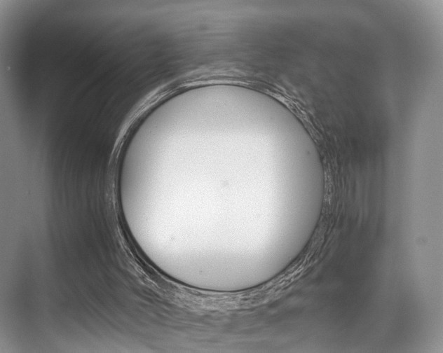 X0000076030004200609220905