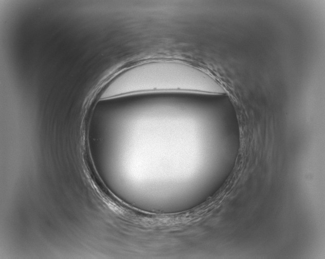 X0000076030005200609220905