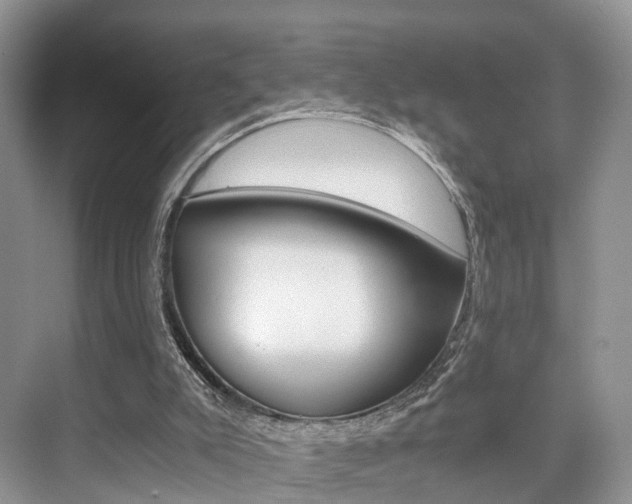 X0000076030007200609220905