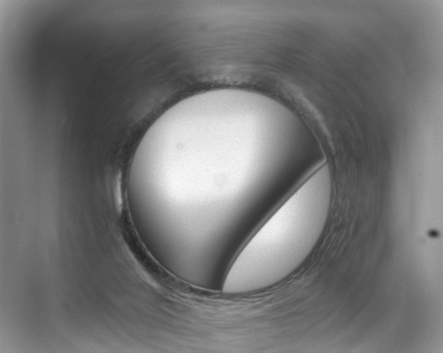 X0000076030020200609220904