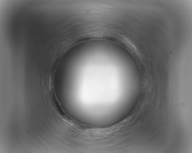 X0000076030025200609220904