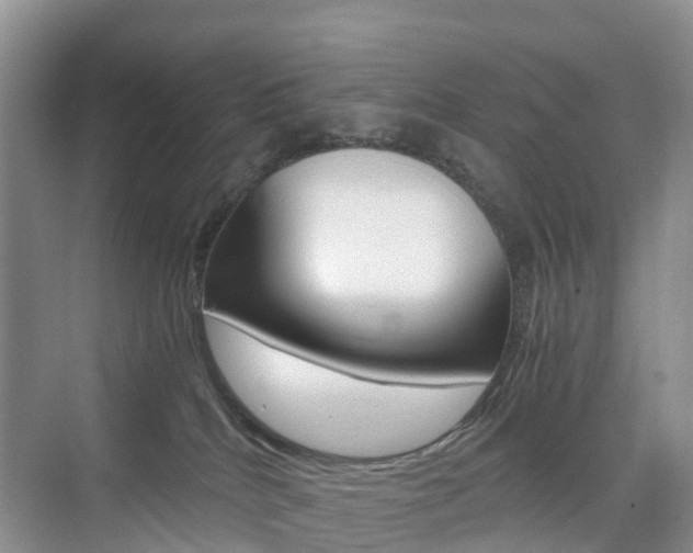 X0000076030040200609220904