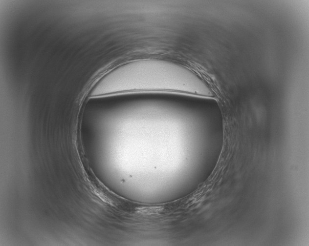 X0000076030051200609220903