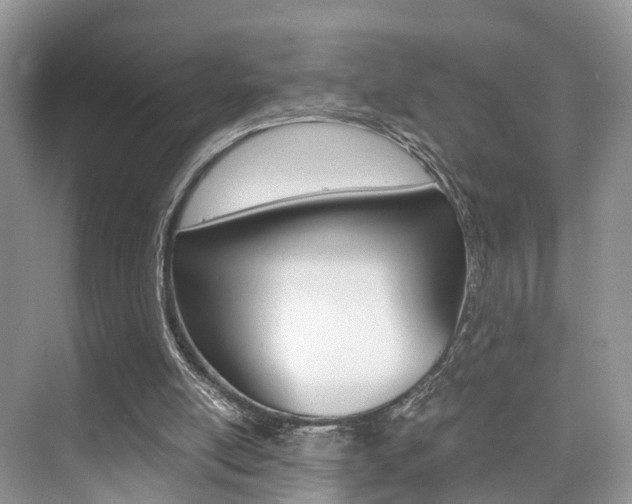 X0000076030054200609220903
