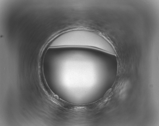 X0000076030055200609220903