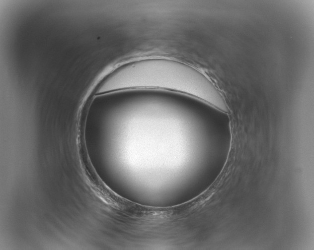 X0000076030056200609220903