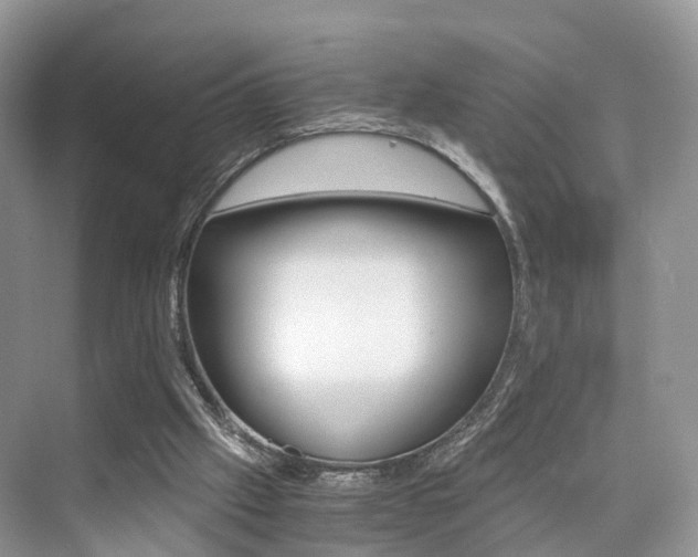 X0000076030057200609220903