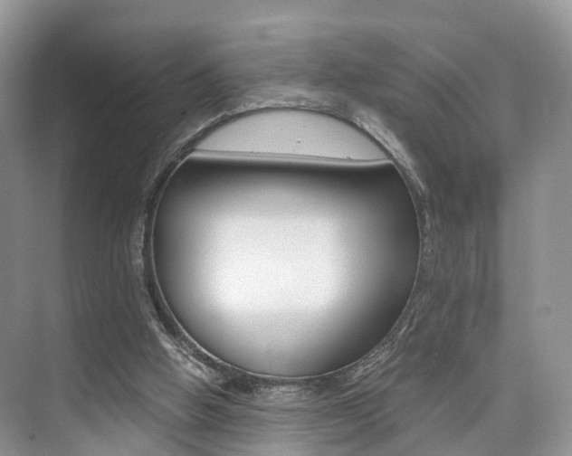 X0000076030058200609220903