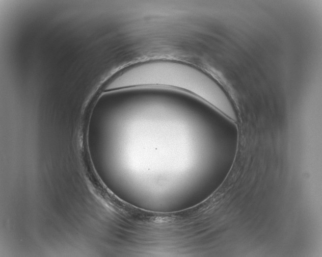 X0000076030060200609220903