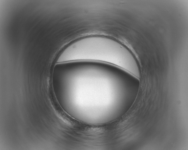 X0000076030063200609220903