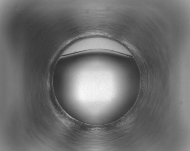X0000076030064200609220903