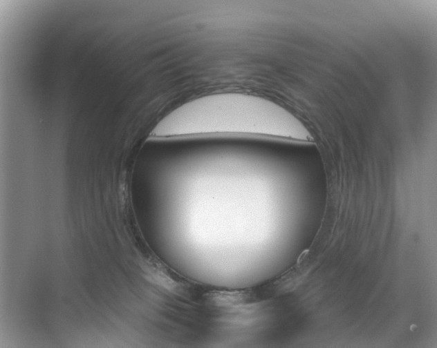 X0000076030085200609220904