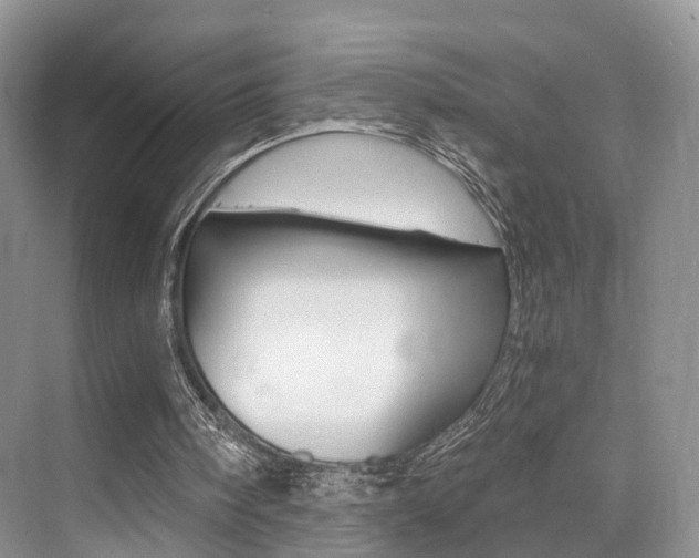 X0000076030098200609220903