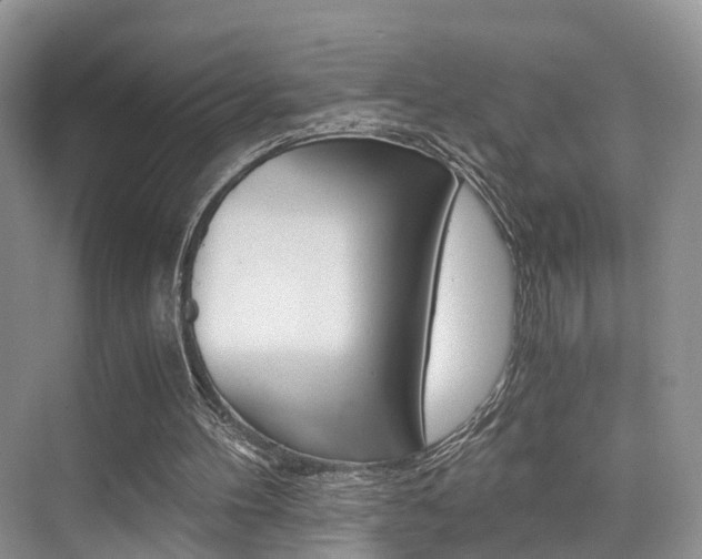 X0000076030100200609220903