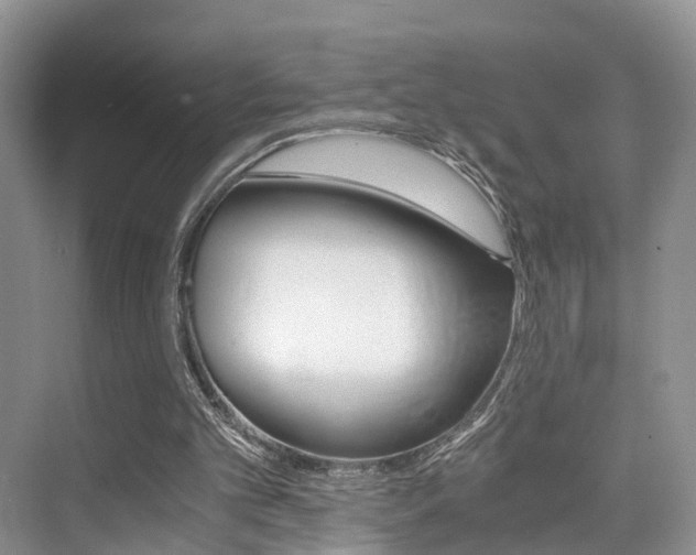 X0000076030101200609220903