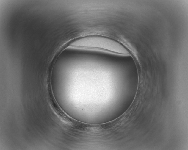X0000076030107200609220903