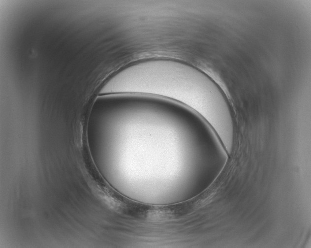 X0000076030109200609220903