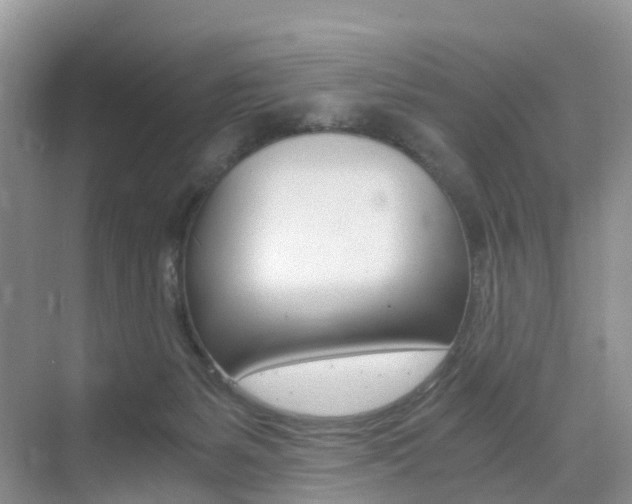 X0000076030127200609220902