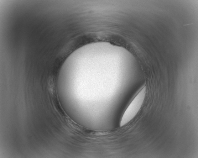 X0000076030129200609220902