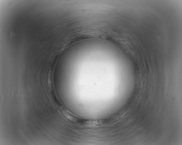 X0000076030131200609220902