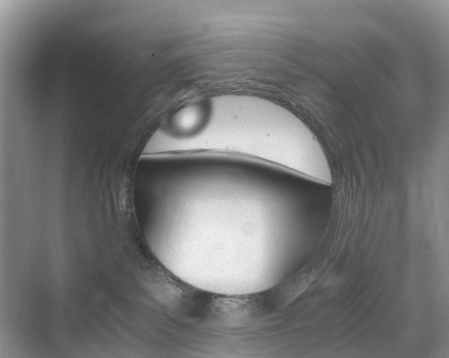 X0000076030139200609220902