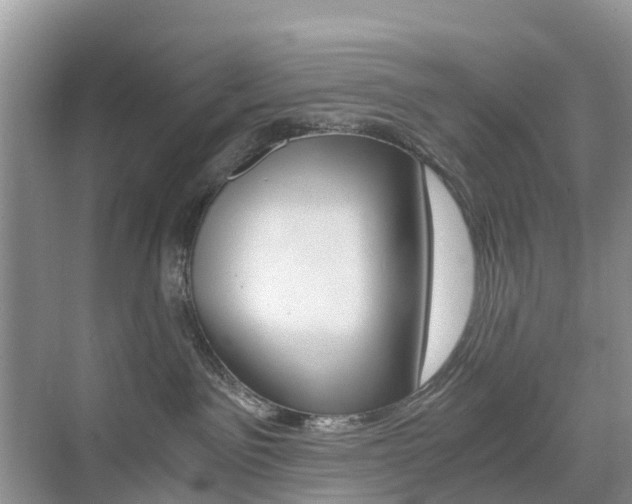 X0000076030141200609220902