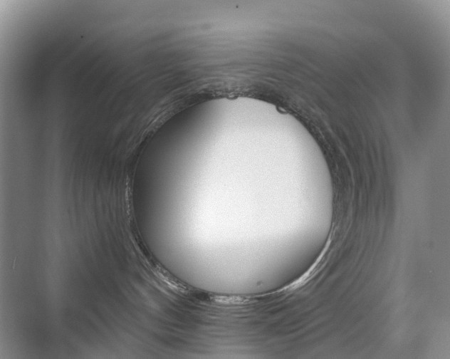 X0000076030144200609220902