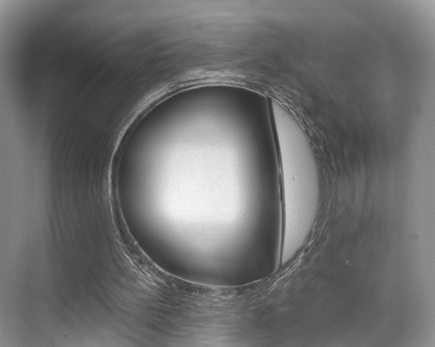 X0000076030148200609220901