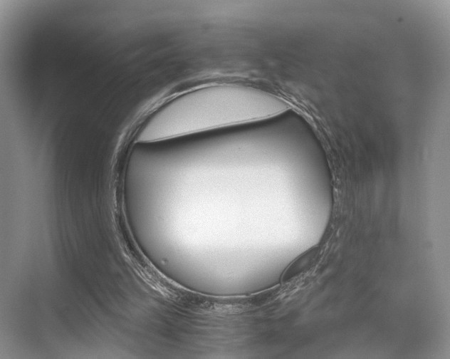 X0000076030149200609220901