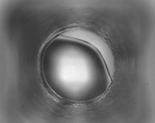 X0000076030150200609220901