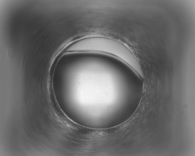 X0000076030152200609220902