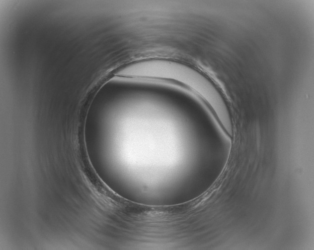 X0000076030154200609220902