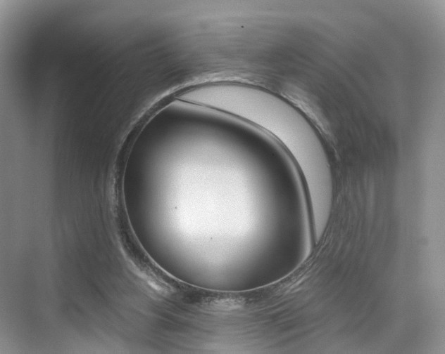 X0000076030156200609220902