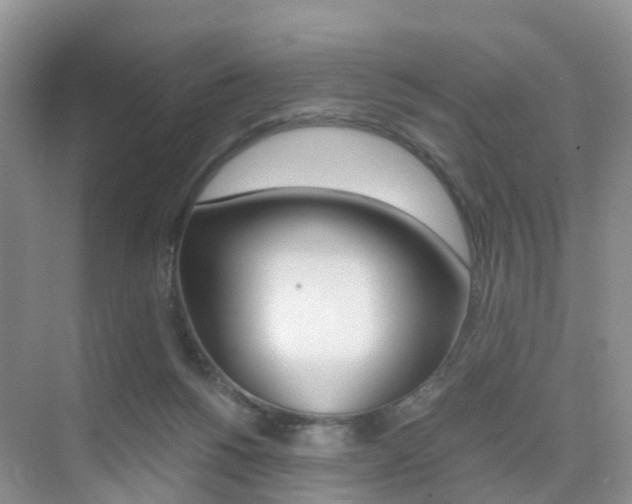 X0000076030168200609220902