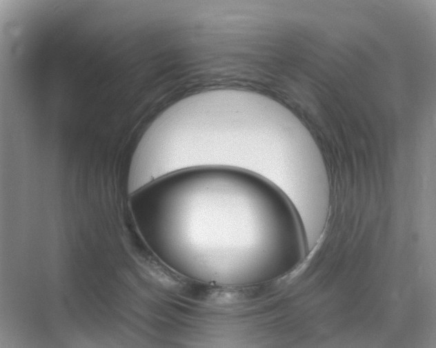 X0000076030174200609220902
