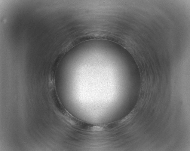 X0000076030176200609220902