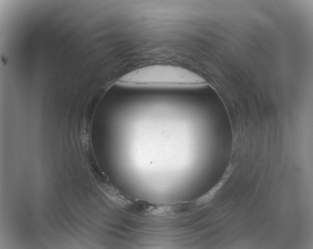 X0000076030186200609220902