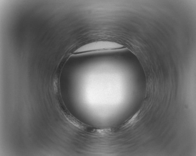 X0000076030188200609220902