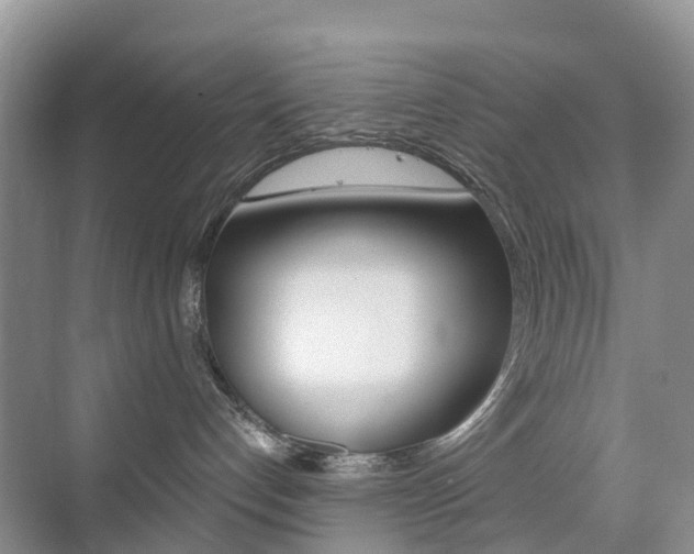 X0000076030192200609220902