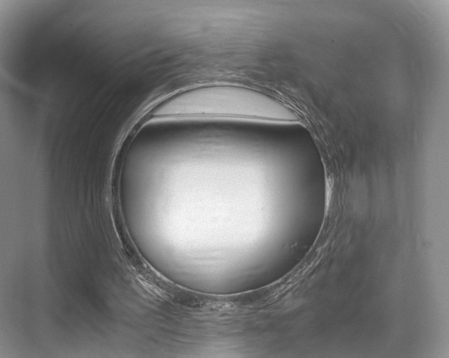 X0000076030195200609220901