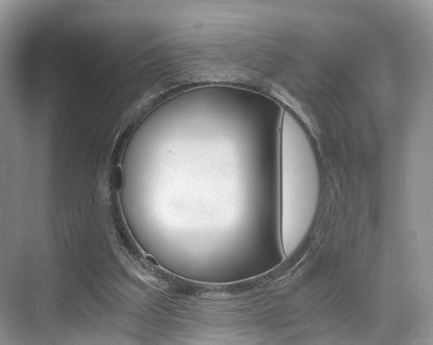 X0000076030203200609220901