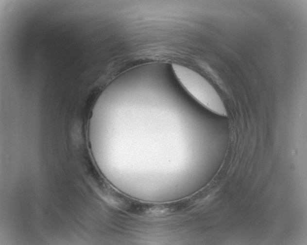 X0000076030213200609220901