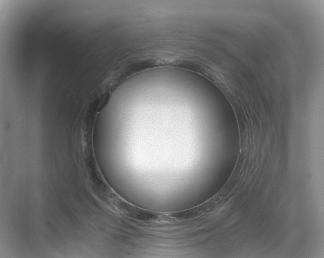 X0000076030215200609220901